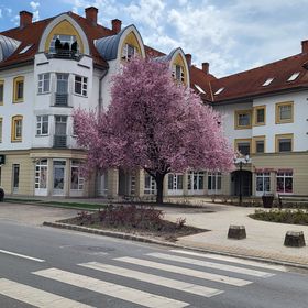 Pataki Apartman Sárospatak