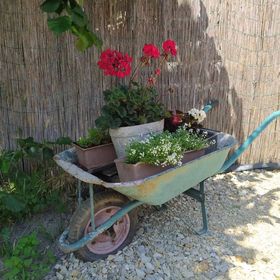 Bambusz Vendégház Bogács