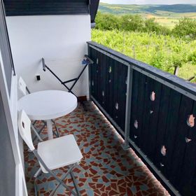 Csicsóka Panoráma Apartman Balatoncsicsó