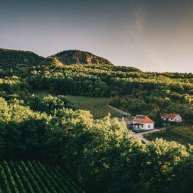 Fata Birtok Vendégház Nemesgulács