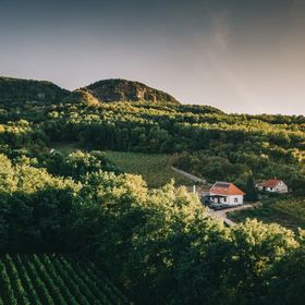 Fata Birtok Vendégház Nemesgulács