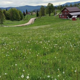 Cabana Elena Ghețari