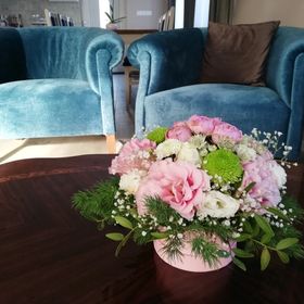 Villa Vintage Apartman Gyula 