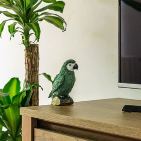 Secret Garden Apartman Miskolc