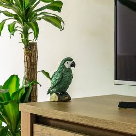 Secret Garden Apartman Miskolc