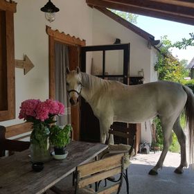 Igricz Farmház Pócsmegyer