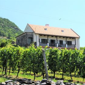 SÉD PINCE Vendégház Somlószőlős