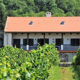 SÉD PINCE Vendégház Somlószőlős