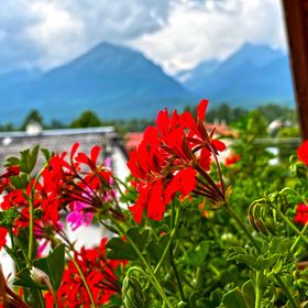 Penzión Baďo Stará Lesná