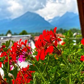 Penzión Baďo Stará Lesná