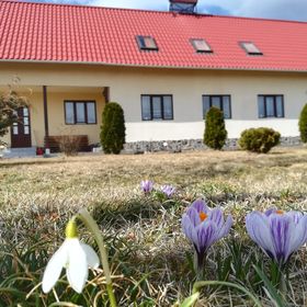 Casa de oaspeți Panorama Borzont