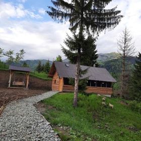 Cãbãnuța din pãdure Băile Borșa