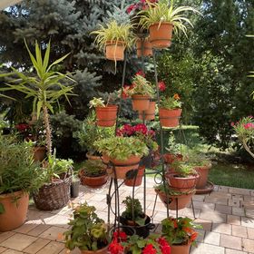 Jázmin-Szieszta Apartmanház Balatonfüred