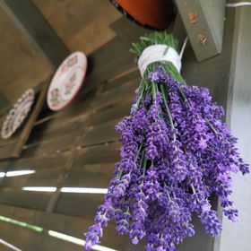 Berkó Vendégház Rákóczifalva