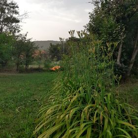 Vörösdombi Csak Mi Ketten Apartman Cserkút