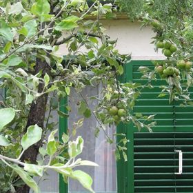 Agárd Pitypang Vendégház