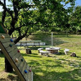 Pipacs és Tulipán Vendégház Bodony