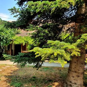 Garden Apartments Balatonberény