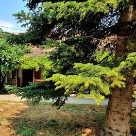 Garden Apartments Balatonberény