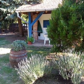 Pásztor Tanya Nyíregyháza