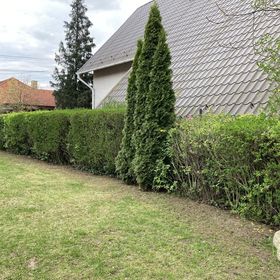 Türk-Kék Vendégház Nyíregyháza