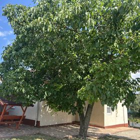 Diána Vendégház Poroszló