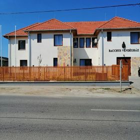 Bacchus Vendégház Erdőbénye