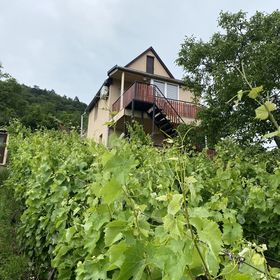 Fehér Szőlő Vendégház Sátoraljaújhely