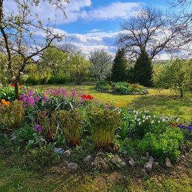 Rózsa Apartman Aggtelek