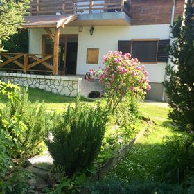 Tulipán Ház Szentendre