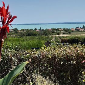 Kapitány Apartman Lovas