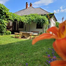 Pagony-Liget Vendégház Sarud