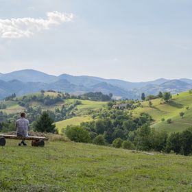 Casa de vacanță My Little Village Poiana Mărului