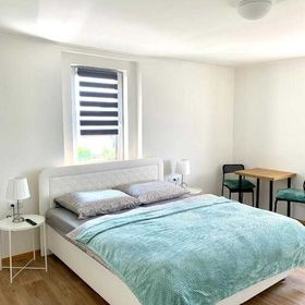 Pension u Šťastných Mariánské Lázně