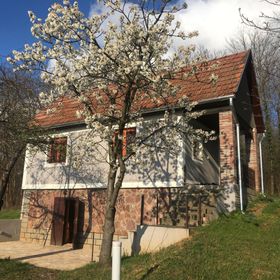 Berkenyés Házikó Szőlősgyörök