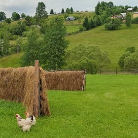Casa de vacanță Dor de Brad Dorna-Arini
