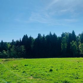 Cabana Karina Dealu Negru