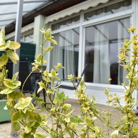 Akvamarin Apartman Keszthely