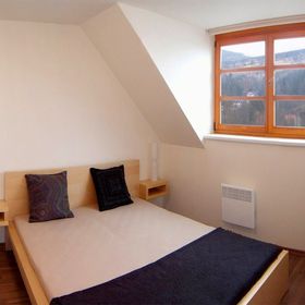 Apartmán Říčky U Sněžného Lva Říčky v Orlických horách