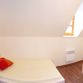 Apartmán Říčky U Sněžného Lva Říčky v Orlických horách