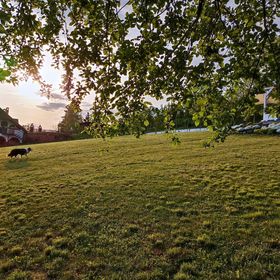 Körbezöld Porta Harkány
