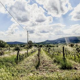 Kisbalázs Vendégház Szentantalfa