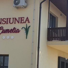 Pensiunea Camelia Baia