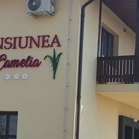 Pensiunea Camelia Baia