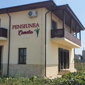 Pensiunea Camelia Baia