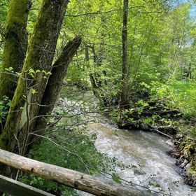 Casa de vacanță Fontana Erdélyi Satu Mare