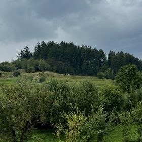 Casa Andreas Zărnești