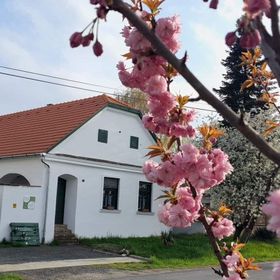 Fűszeres Porta Mihályfa