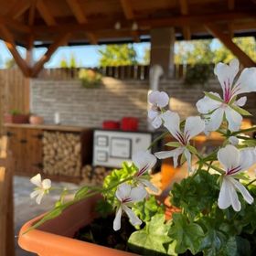 Szőlőszem Vendégház Abádszalók