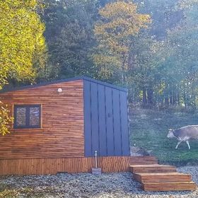 Casa de vacanță Căsuța de sub nuc Piatra-Neamț